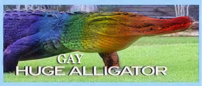 A proud alligator